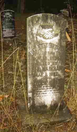 Elisha Harrison Tombstone - Taken by JWH 25 Nov 2000